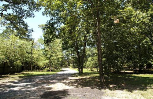 Modern Farmhouse - Foto 15