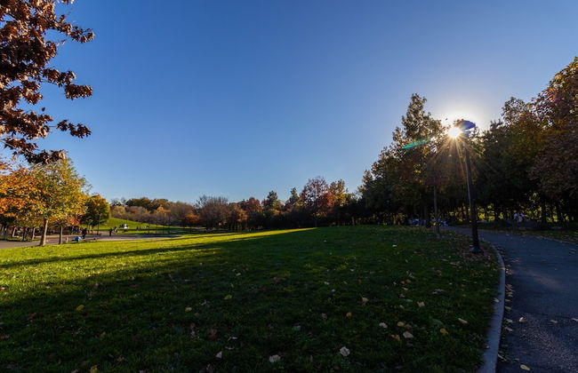 Deluxe single bed 1st FL in Elmhurst NY - Foto 19