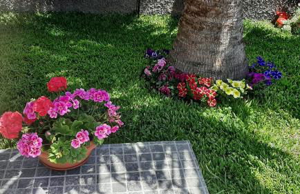 Casa Ventura - Photo 26