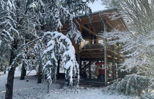 Gîte Pont-à-Mousson, La Pépinière Pagode Asiatique - Foto 11
