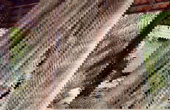 Sahom Valley Resort - Agro & Eco - Foto 18