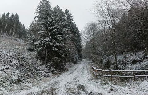 Tannenhuegel Residenz - Foto 27
