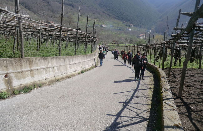 Agriturismo Mare e Monti - Foto 49