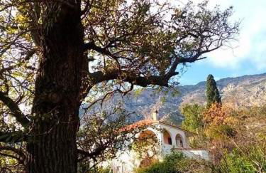 Paradisos House - Foto 7