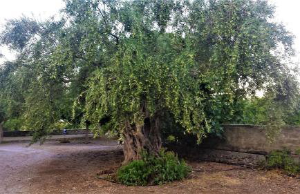 Manto Studios - Photo 59