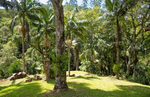 Canto da cascata - Foto 42