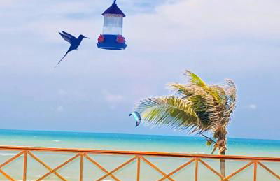 Oceanview A102 - PÉ NA ÁREA - perto do centro, 2 dormitórios, piscina, cozinha, 116m2 - Photo 14