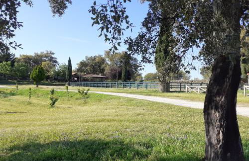 Casa da Vinha - Foto 36