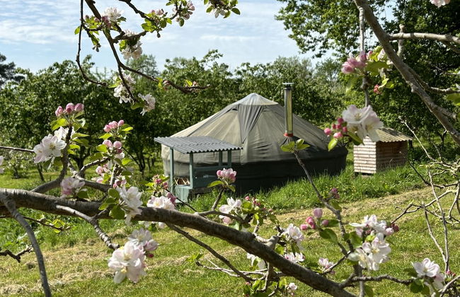 Dragon Orchard Retreat - Photo 32