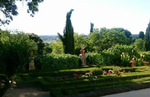 Quinta da Bizelga Cottages - Foto 36