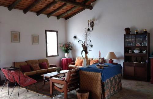 Herdade do Monte Outeiro - Turismo Rural - Foto 25