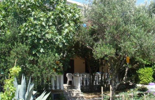 Pag Vlasici - Foto 22