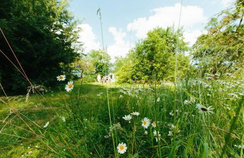 Feriendomizil Alter Garten - Photo 37