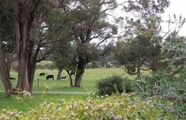 Woody Grange Chalets - Foto 16