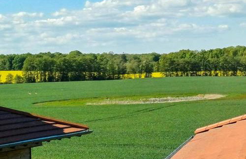 Eco-Friendly Holiday Home Near The Baltic Sea - Foto 32