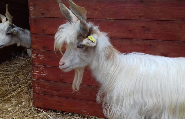 Agriturismo Specchiarussa - Foto 35