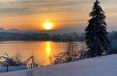 Villa Herzland Allgäu mit großem Garten und gemütlichem Kaminfeuer inklusive KÖNIGSCARD, Skipass, Bergbahn, Therme inkl - Foto 36