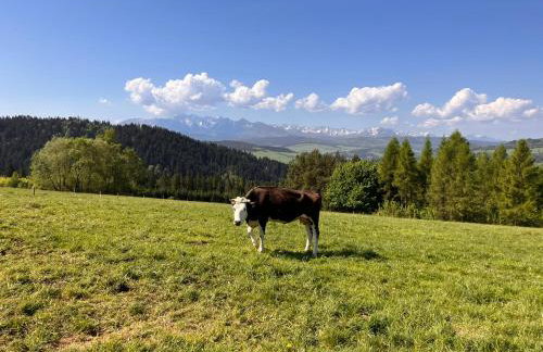 Chaty Jagi - Photo 28