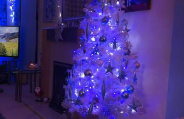 Lukes Lodge, where the fun begins, Woodland View, Hot Tub, dog friendly - Foto 33