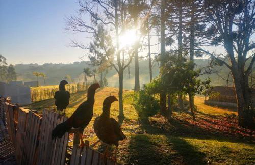 Cabana Suiça - Foto 3