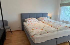 FeWo Sonnenschein - Foto 4