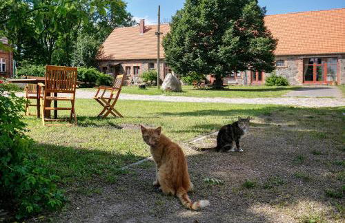Ferienwohnungen Hof Luisenau - Photo 10