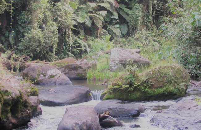 Kimakia Tea Cottages - Foto 24