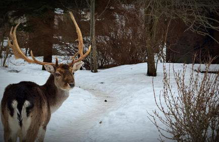 Mazurski Apartament - Foto 61