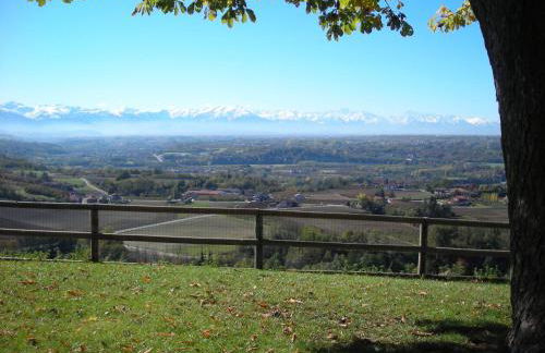 Bricco Rosso - Foto 77