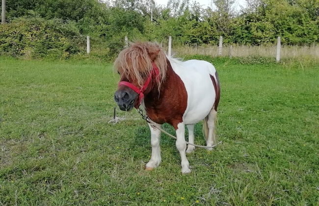 Villa Sisman - Foto 47