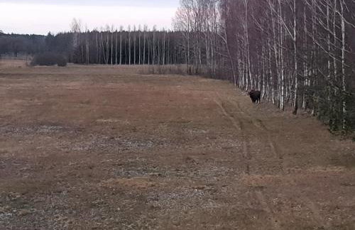 Ciche Podlasie - Foto 20