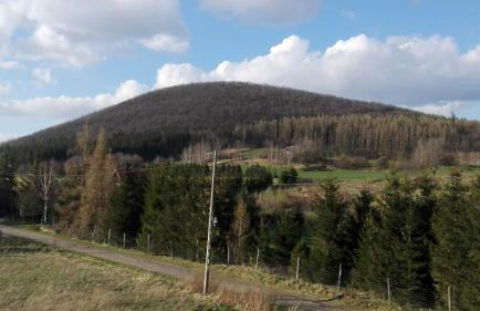 Lawendowy Dworek - Foto 34