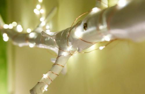 Casa Rural Manitoba Luxe - Foto 30