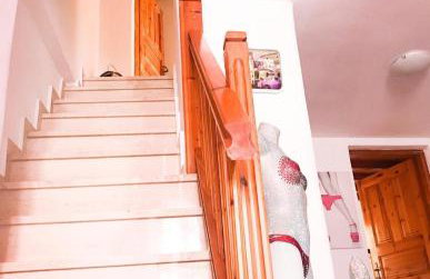 Gloria's house - Foto 7