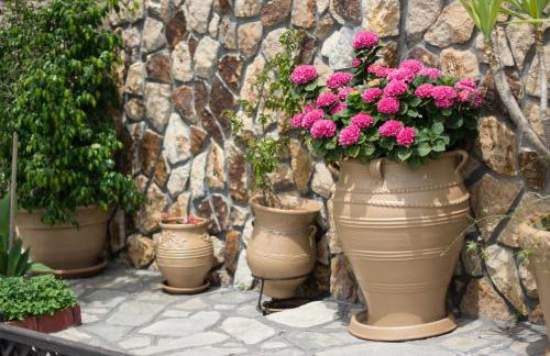 Dione Apartments - Foto 18