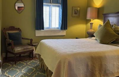 Dragonfly Tremé-Unique - Historic-Heated Salt Pool - Foto 24