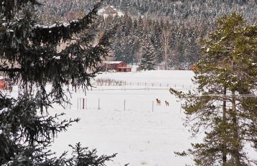 Ohana Ranch - Foto 60