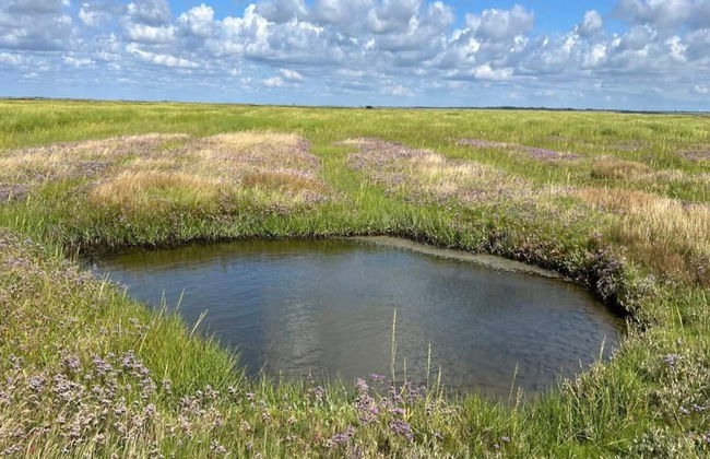 6 Person Holiday Home in Ribe-by Traum - Foto 40