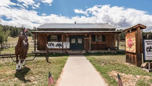 New! Adorable Cabin in Colorado National Forest - Foto 2