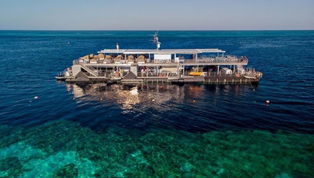 Great Barrier Reef Cruise to Hardy Reef Pontoon - Photo 2