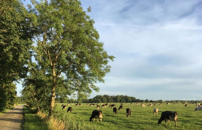Country House With Garden Near Greetsiel - Photo 24