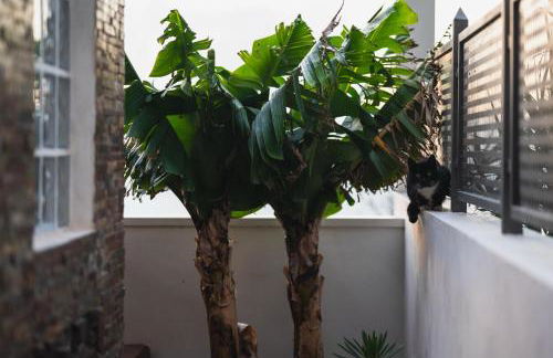 La Cábala del Draguillo - Foto 17