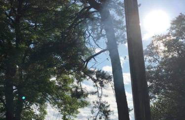 Elishaw Farm Holiday Cottages - Foto 52