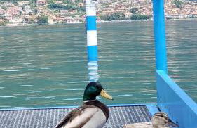 Light on Lake Iseo - Foto 39