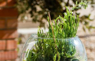 Vale do Grou Natura - Foto 14