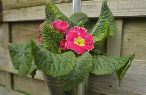 Gîte Kerlosvézan - Cocon de charme rénové & 5mn Mer et GR34 - Foto 41