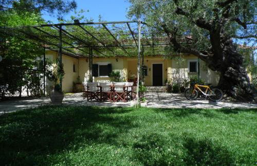 TheNi Olive Grove Villa - Foto 1