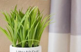 Desert Oasis Amazing Pool Waterfall Firepit Office - Foto 43