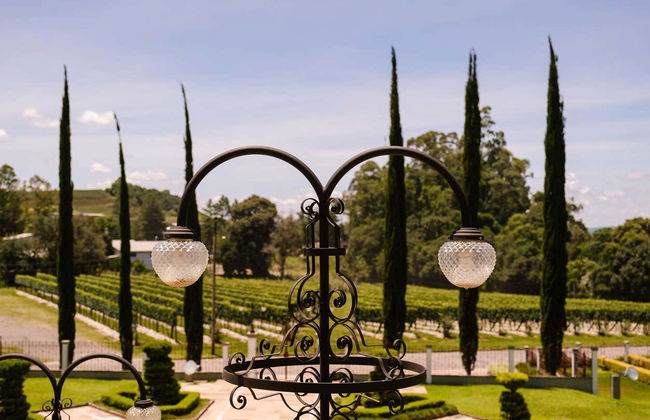Visita di mezza giornata di un'azienda vinicola - Foto 7