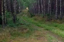 Radogoszcz- Pokoje nad jeziorem - Foto 17